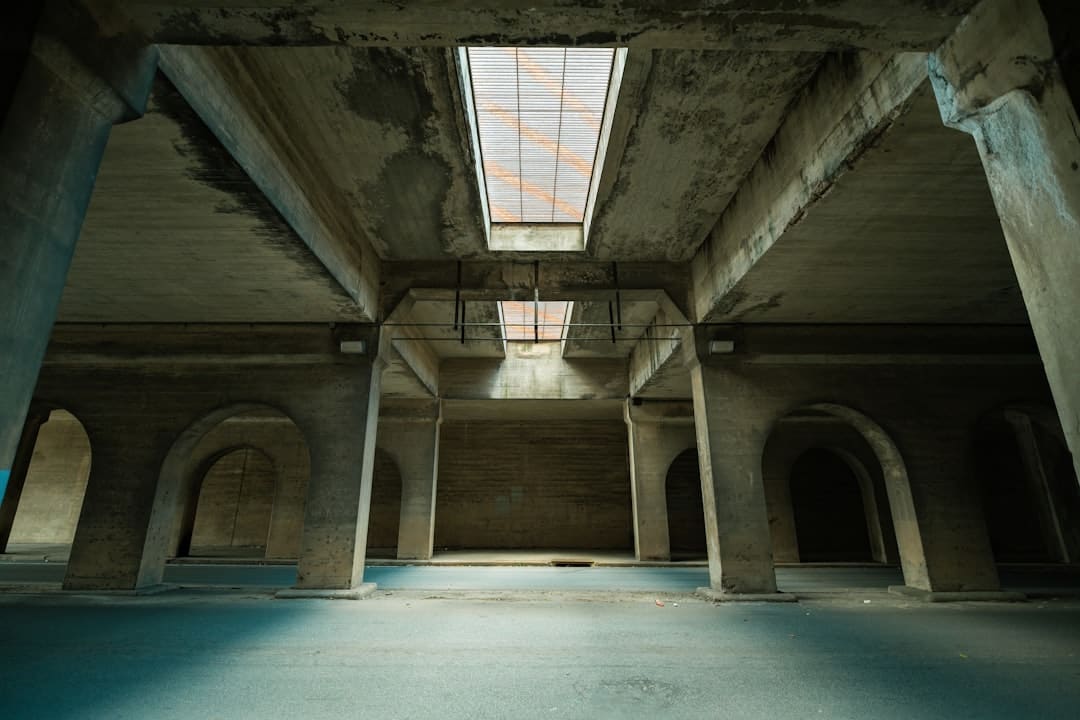 狠!爽!狂!欢!暑期仅有动作违法爽片《捕风追影》首映礼点着观众